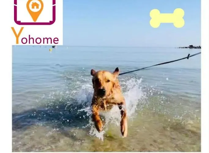 Del Moro Centro Mare By Yohome *